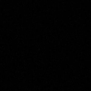 Meet your Posher, Shayla